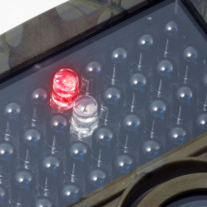 Technaxx Nature Wild Cam TX-69 Box Indoor & outdoor 1920 x 1080 pixels