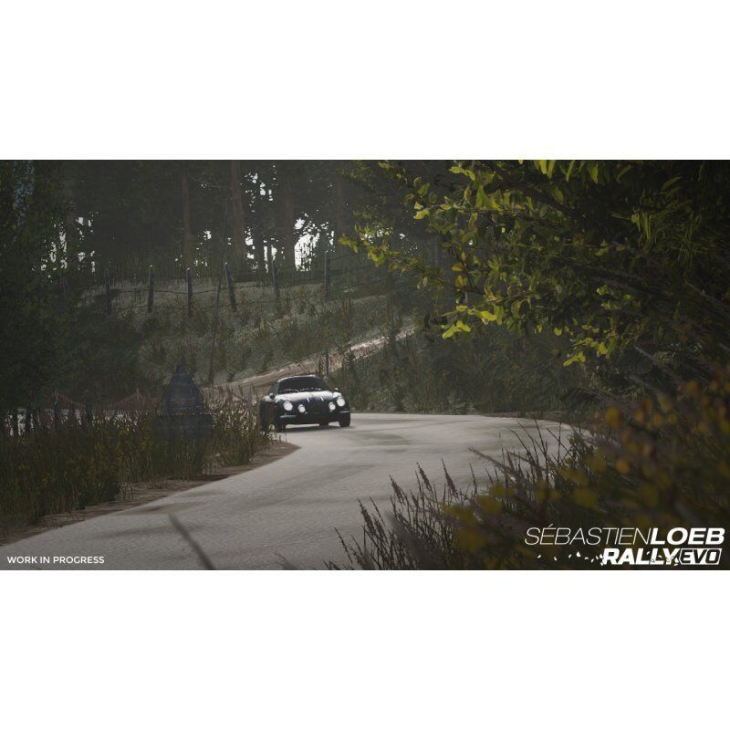 Sebastien Loeb Rally Evo