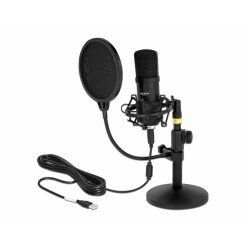 Broadcast Delock compatible Professionelles USB Kondensator Mikrofon Set für Podcasting und Gaming