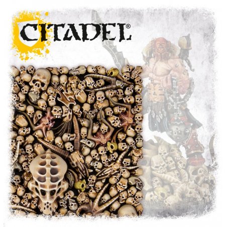 Citadel - Boite de Cranes / Skulls