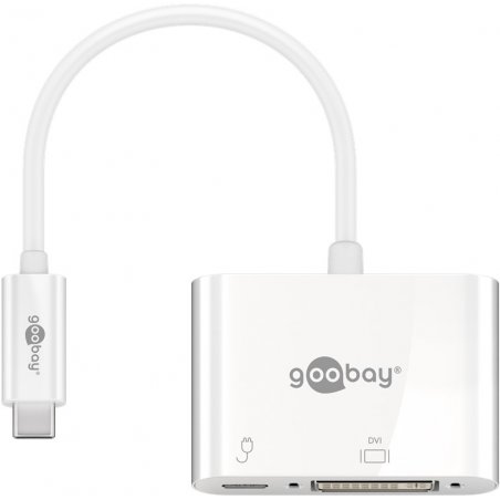 Adaptateur USB-C / DVI (M/F)