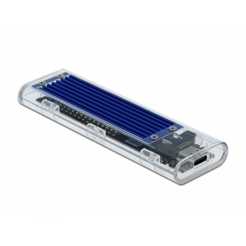 DeLOCK 42620 storage drive enclosure SSD enclosure Blue M.2