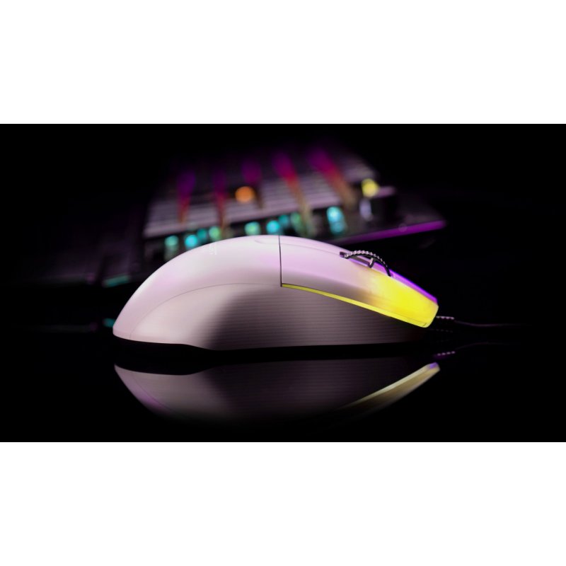 ROCCAT Kone Pro mouse Right-hand USB Type-A Optical 19000 DPI