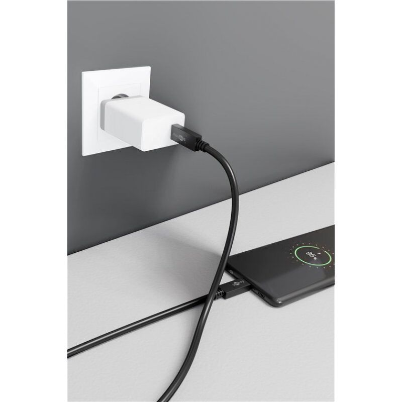  Câble USB 3.2 Gen. 2x2 Type C (M/M) - Power Delivery - 1 m