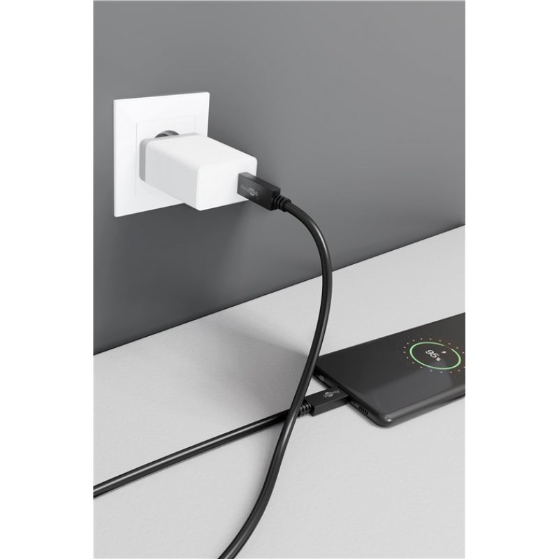 Wentronic 49254 USB cable 1 m USB 3.2 Gen 2 (3.1 Gen 2) USB C Black