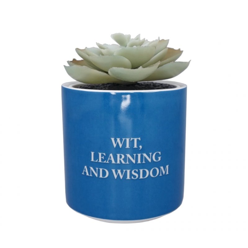 HARRY POTTER - Serdaigle - Faux Pot à Plantes 6.5cm