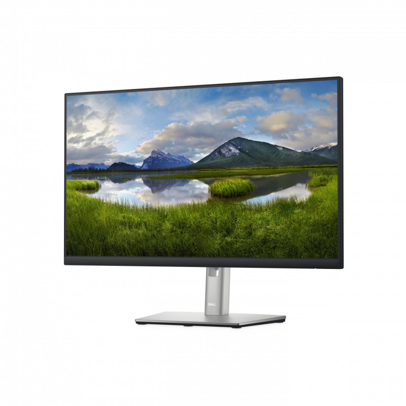 Dis 24 Dell P2422H 1920x1080 IPS