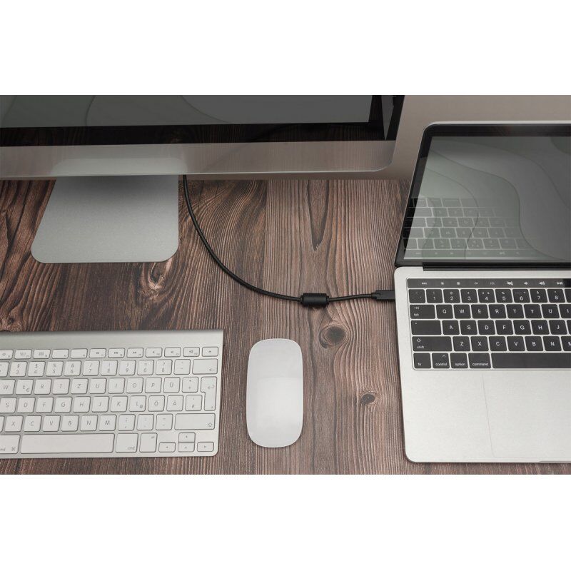 Cable Digitus USB-C to DisplayPort 2m black