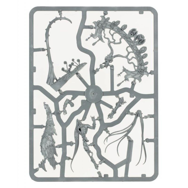 Warhammer AoS - Sylvaneth Warsong Revenant