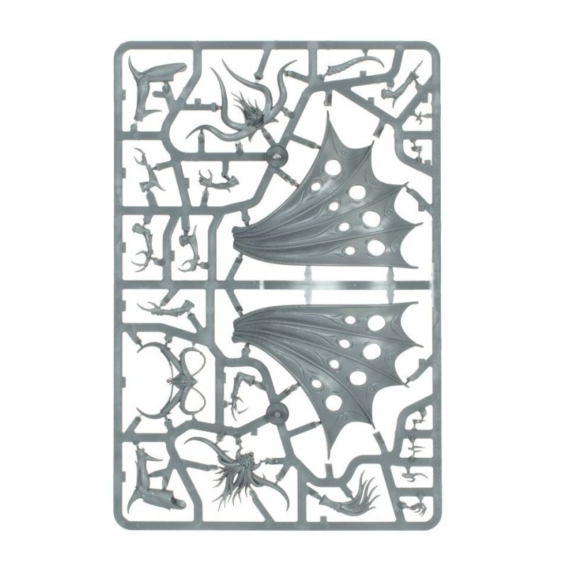 Warhammer AoS - Dexcessa The Talon of Slaanesh