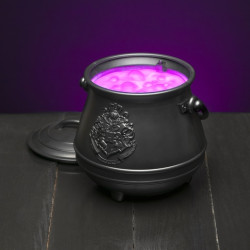 HARRY POTTER - Chaudron - Lampe portable
