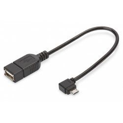 Digitus