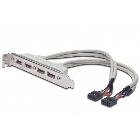 ASSMANN compatible USB-Konsole - 10 PIN IDC bis USB - 25 cm