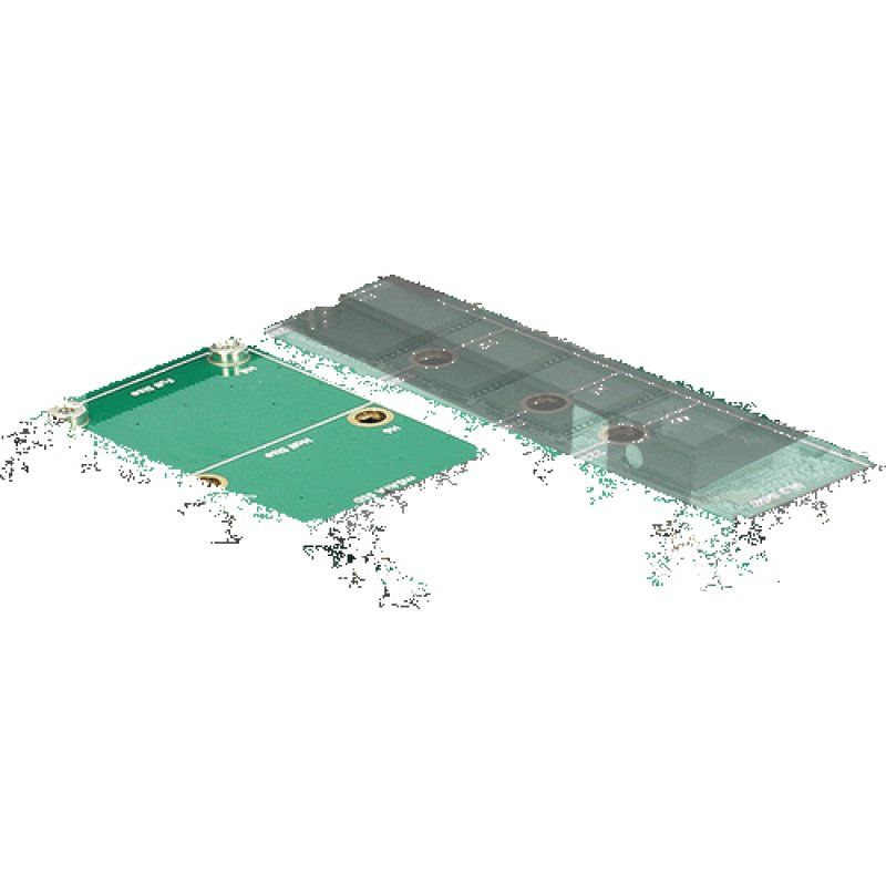 DeLOCK 62866 carte et adaptateur d'interfaces Interne M.2, mSATA