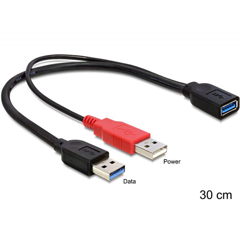 DeLOCK 83176 câble USB 0,3 m USB 3.2 Gen 1 (3.1 Gen 1) USB A 2 x USB A
