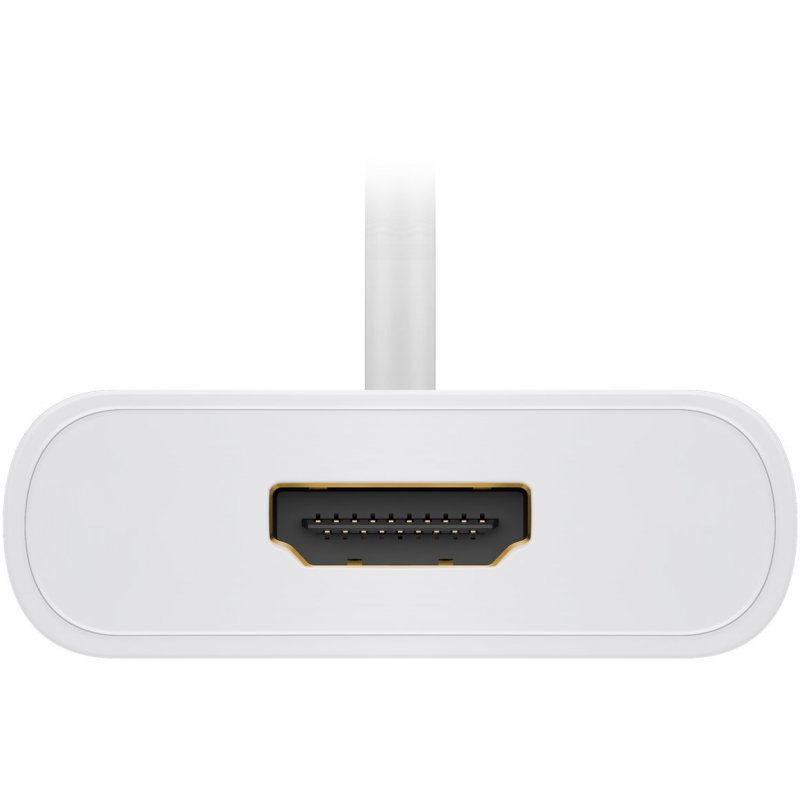 Goobay 66259 USB graphics adapter White