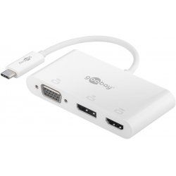 Goobay 52412 USB graphics adapter White