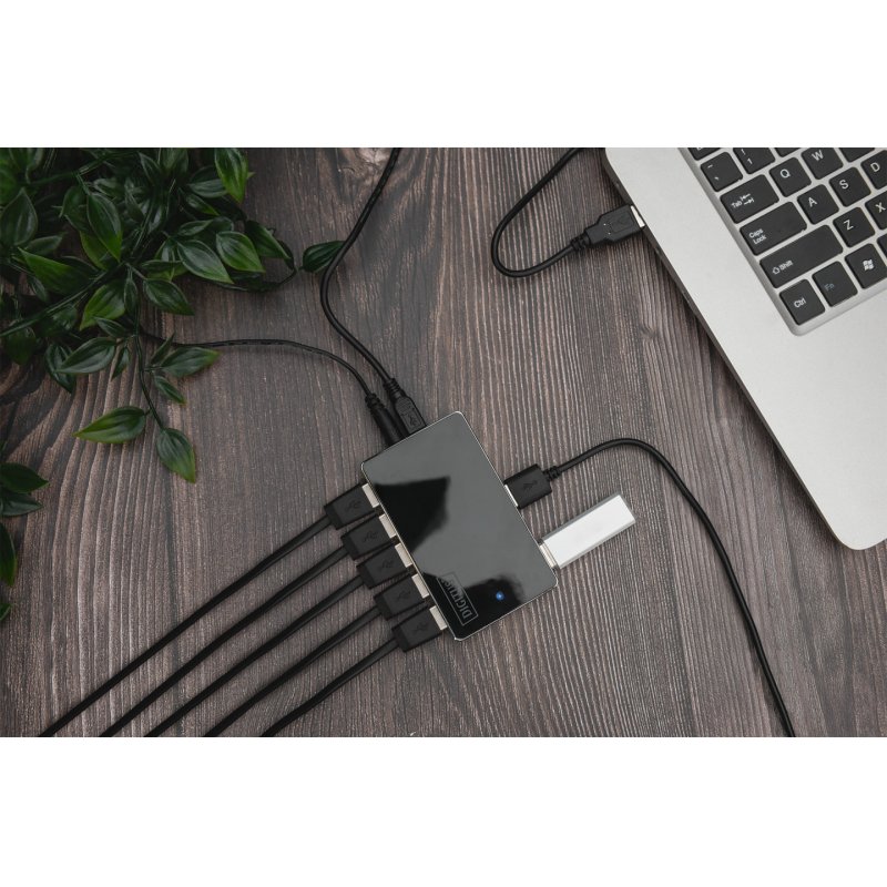 Digitus Concentrateur USB 2.0, 10 ports