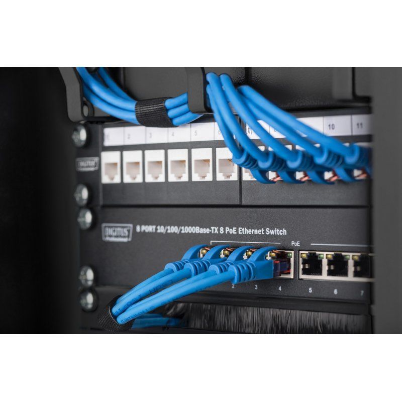 Digitus 254mm (10") Cable management with patchcord access hole