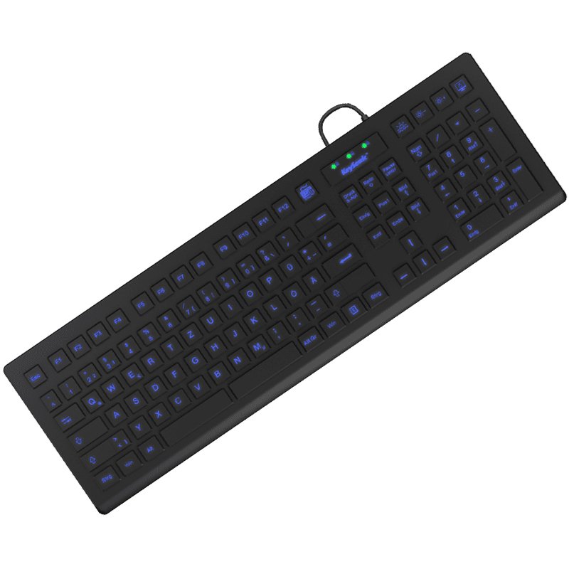 RaidSonic compatible KeySonic KSK-8031INEL-B - Tastatur - Deutsch - Schwarz