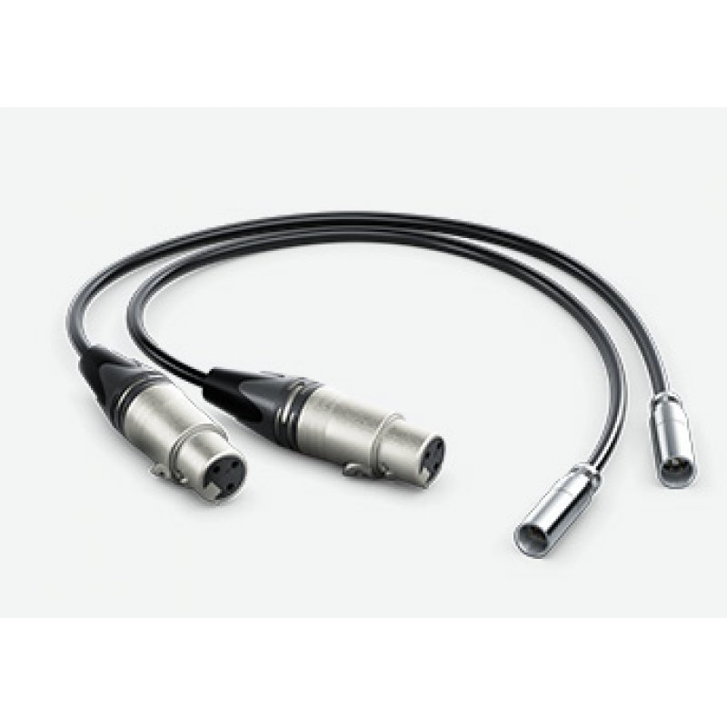 Blackmagic Design HYPERD/AXLRMINI2 câble audio 0,495 m mini XLR (3-pin) XLR (3-pin) Noir