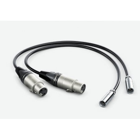 Blackmagic Design HYPERD/AXLRMINI2 audio cable 0.495 m mini XLR (3-pin) XLR (3-pin) Black