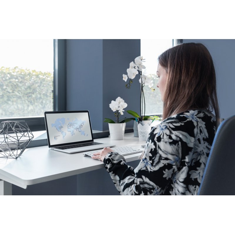 Digitus Electric Height-Adjustable Desk