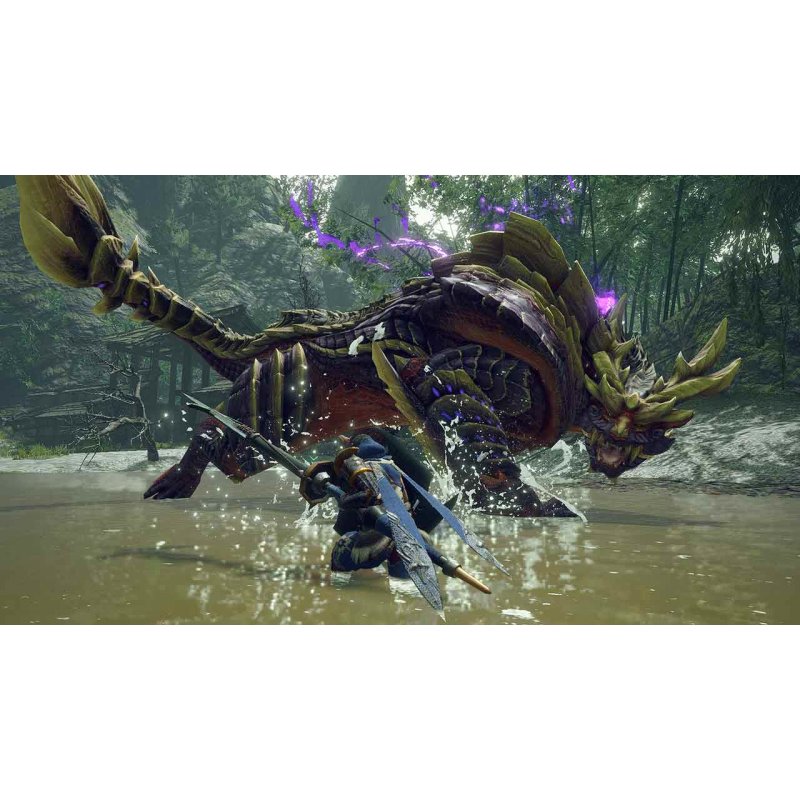 Nintendo MONSTER HUNTER RISE Standard Switch