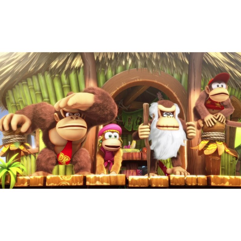 Donkey Kong Country Returns - Tropical Freeze