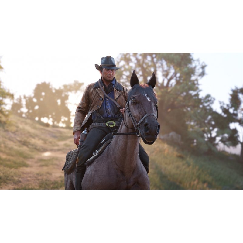 Microsoft Red Dead Redemption 2 Standard Xbox One