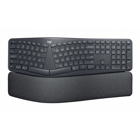 ERGO K860 FOR BUSINESS-GRAPHITE DEU - CENTRAL