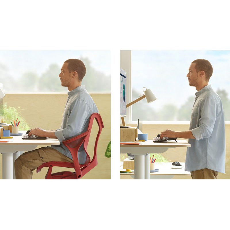 ERGO K860 - GRAPHITE - PAN - NORDIC