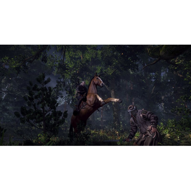 BANDAI NAMCO Entertainment The Witcher 3: Wild Hunt Game of the Year Edition, Xbox One