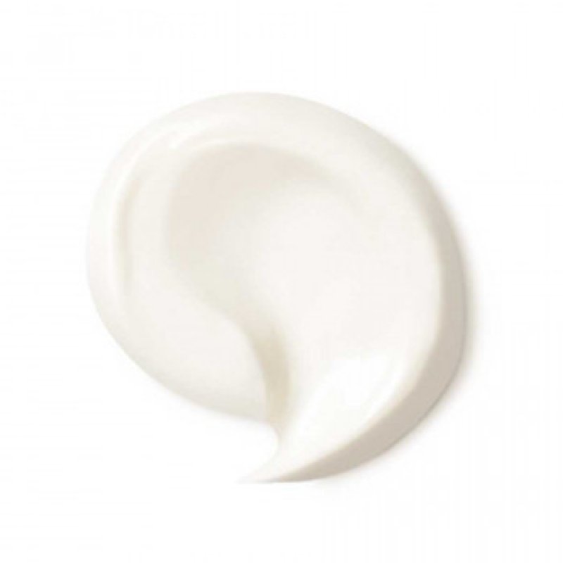 Dr. Hauschka Rose Day Cream Crème de jour Visage 30 ml