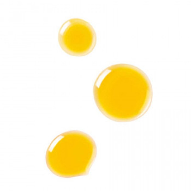 Dr. Hauschka Clarifying Day Oil 18 ml