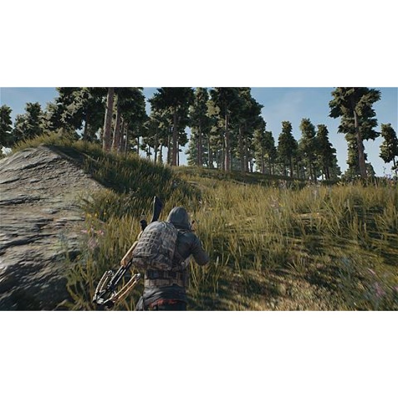 Microsoft PLAYERUNKNOWN'S BATTLEGROUNDS, Xbox One Standard