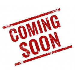 Bandai Arène Tenkaichi Budokai Dragon Ball