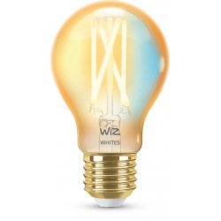 WiZ Ampoule filament ambre 6,7 W (éq. 50 W) A60 E27