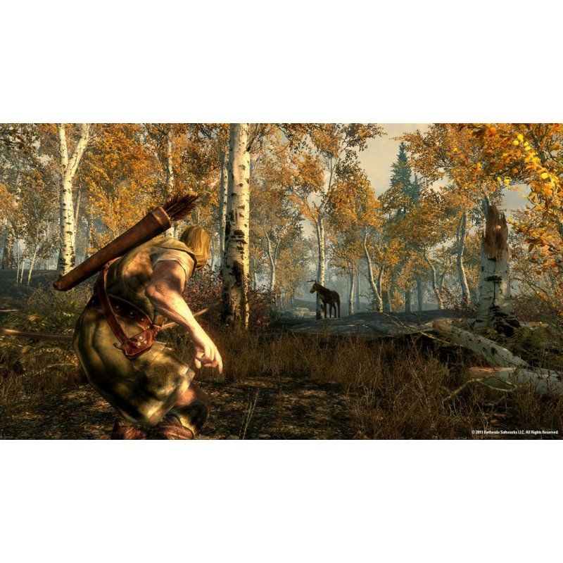 Bethesda The Elder Scrolls V: Skyrim, Xbox 360 Anglais