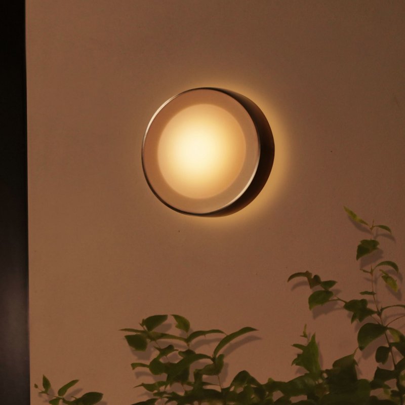 Philips Hue White and colour ambience Daylo Outdoor wall light