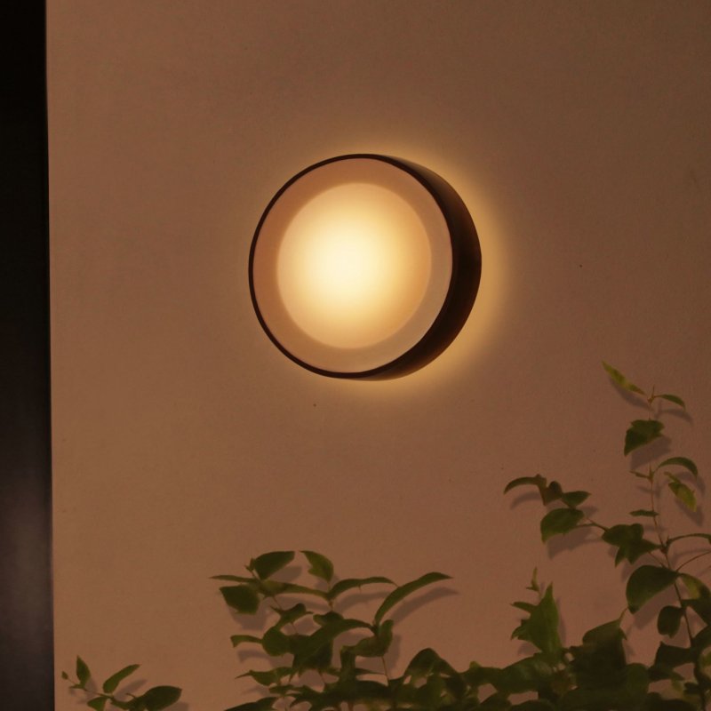 Philips Hue White and colour ambience Daylo Outdoor wall light