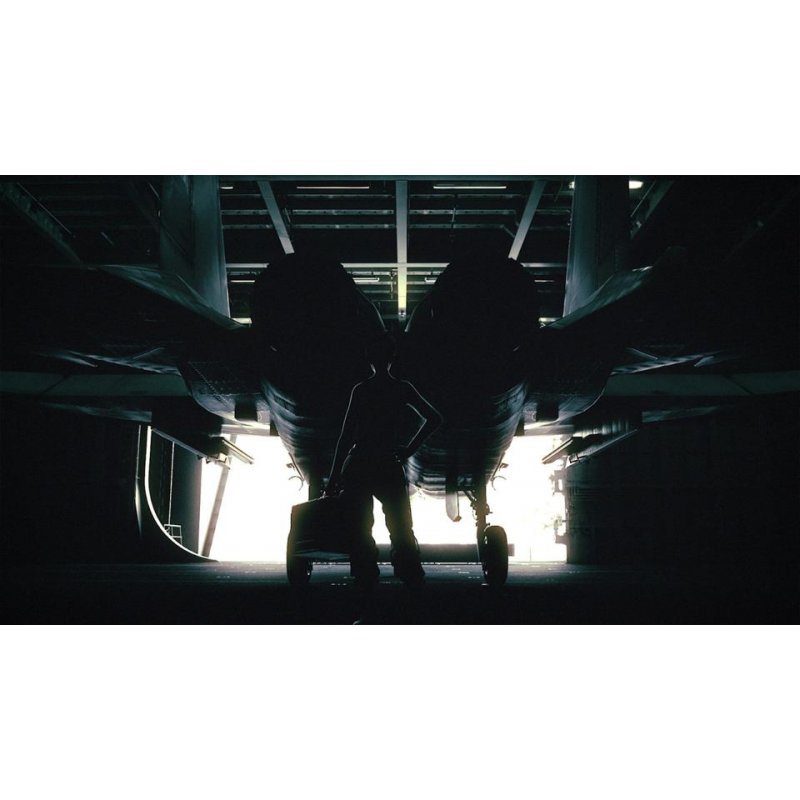 BANDAI NAMCO Entertainment Ace Combat 7: Skies Unknown, PS4 Standard English PlayStation 4