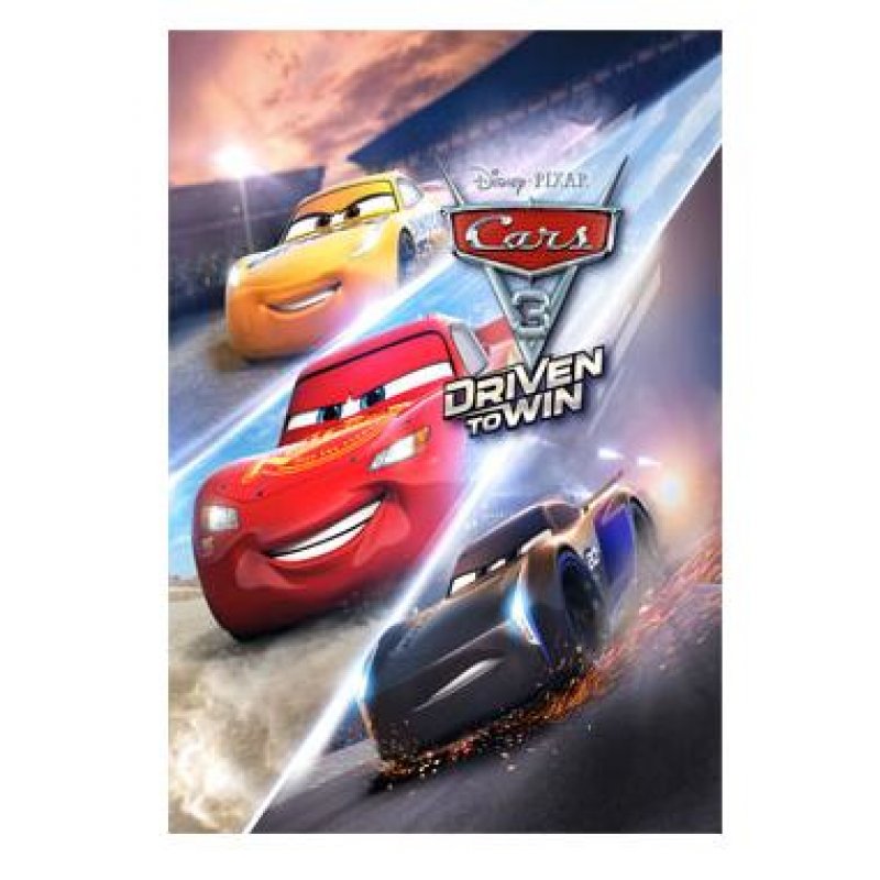 Warner Bros Cars 3: Driven to Win Standard PlayStation 4