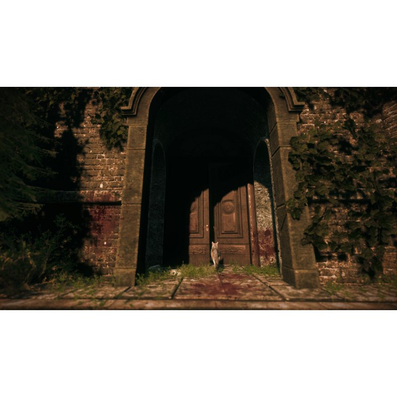 Maid of Sker (Code in a Box)