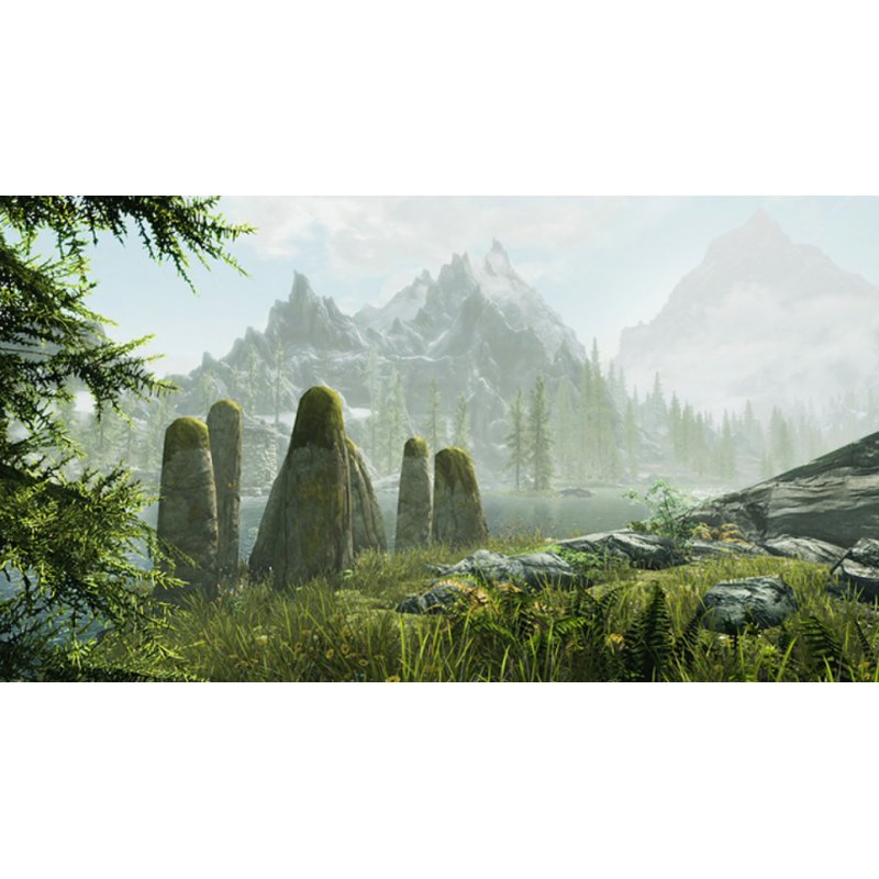 Nintendo The Elder Scrolls V: Skyrim, Switch Nintendo Switch