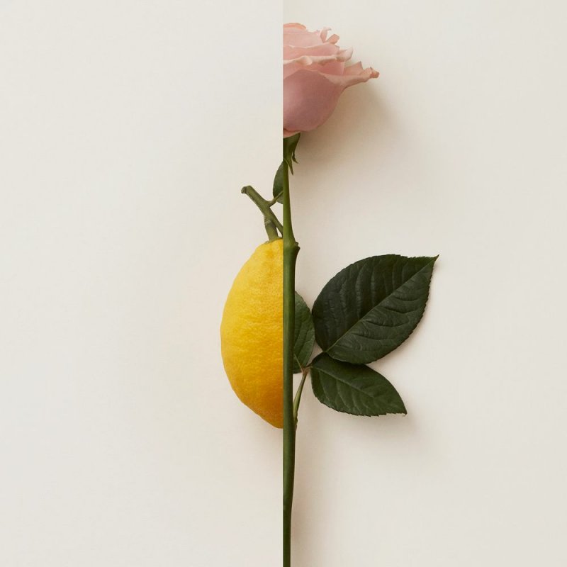 Burberry My Blush Femmes 30 ml