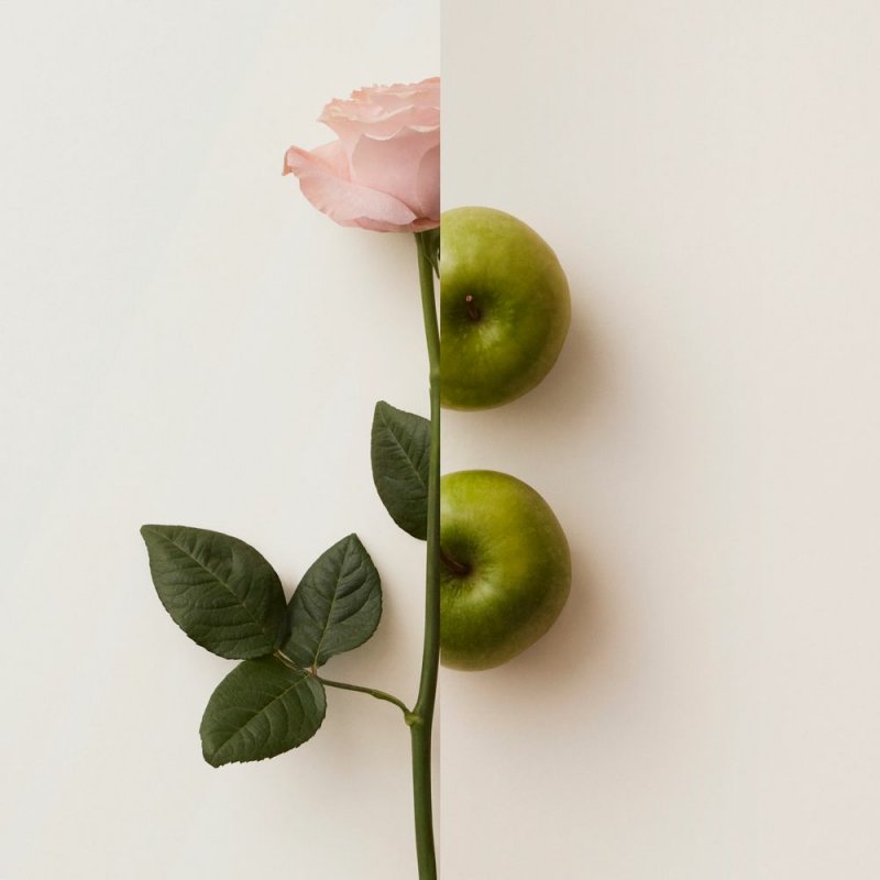 Burberry My Blush Eau De Parfum 30 ml