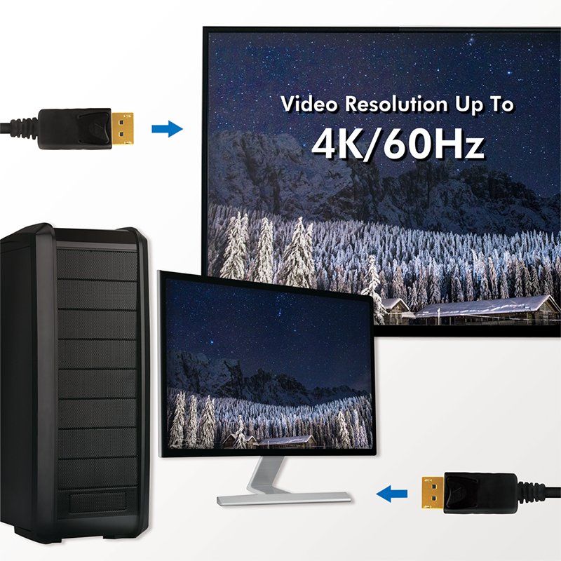 LogiLink CD0102 câble DisplayPort 3 m Noir