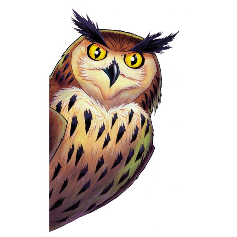 RAV Wer war's? | 218547