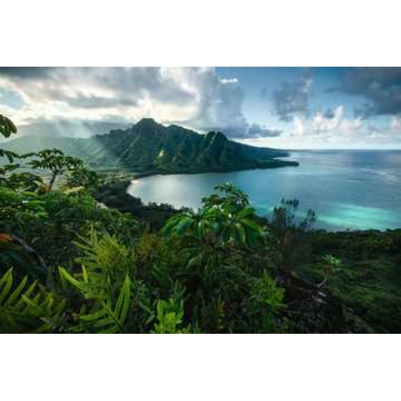 Ravensburger Puzzle 5000 p - Vue sur Hawaï